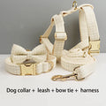 Custom Engraved Nameplate Dog Collar Leash Harness Set Personalized Pet Accessories for Dogs